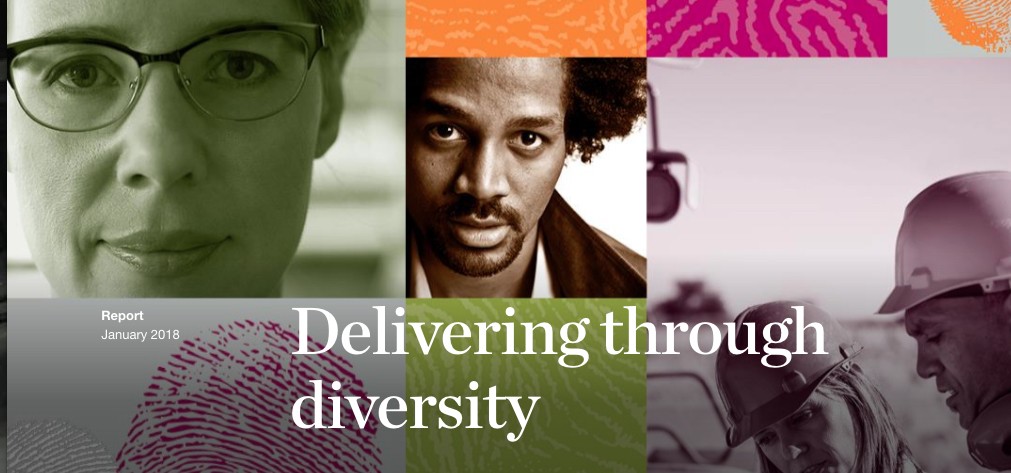 The Diversity Leverage for Financial Performance